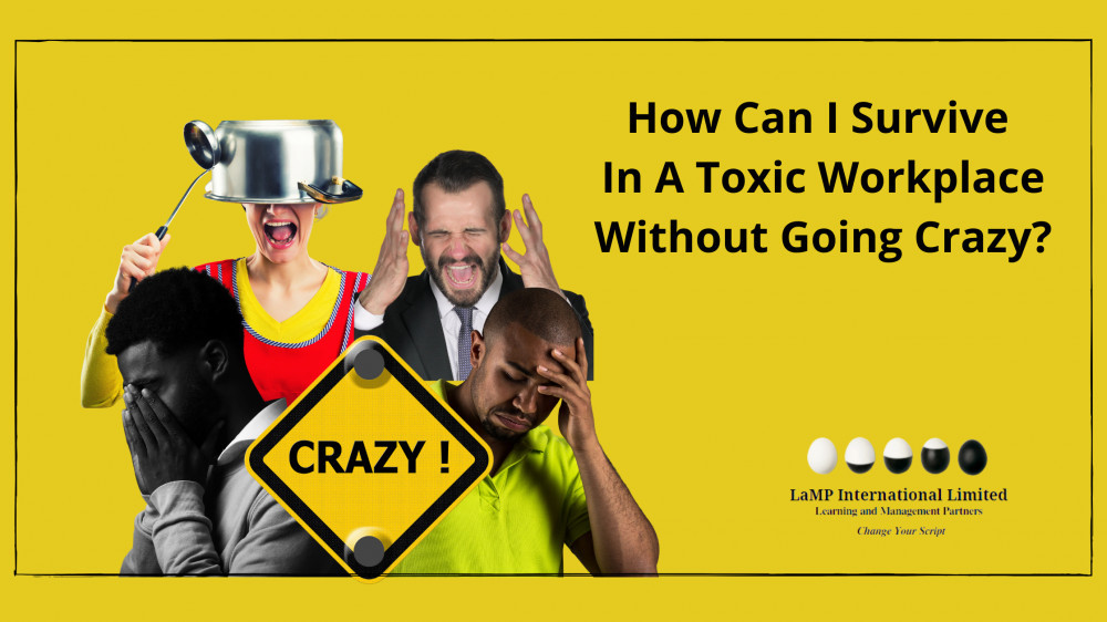 How Can I Survive In A Toxic Workplace Withouit Going Crazy?