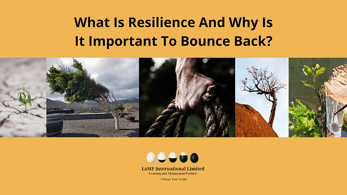 What Is Resilience And Why Is It Important To Bounce Back? - LaMP International Limited